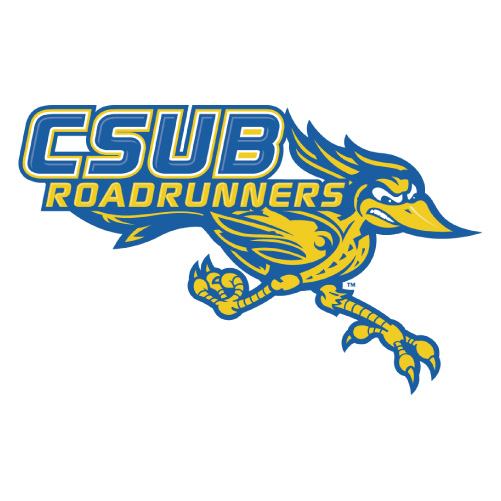 CSU Bakersfield Roadrunners logo Iron-on Transfers N4065